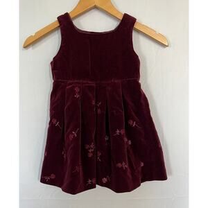 Baby Gap Floral Velvet Dress Size 3XL 30-36 Months Lined Burgundy Red Holiday